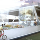 Illustration for article titled Washington DC's Very Own High Line Will Clean Its Dirty River Water